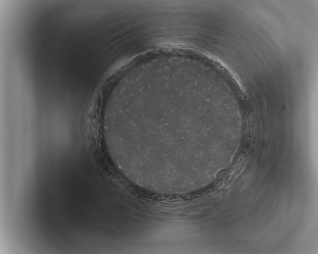 X0000102530919200809051506