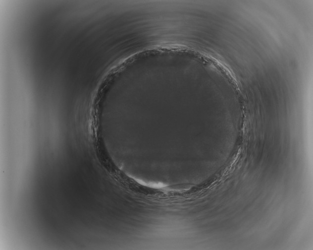 X0000102530920200809051506