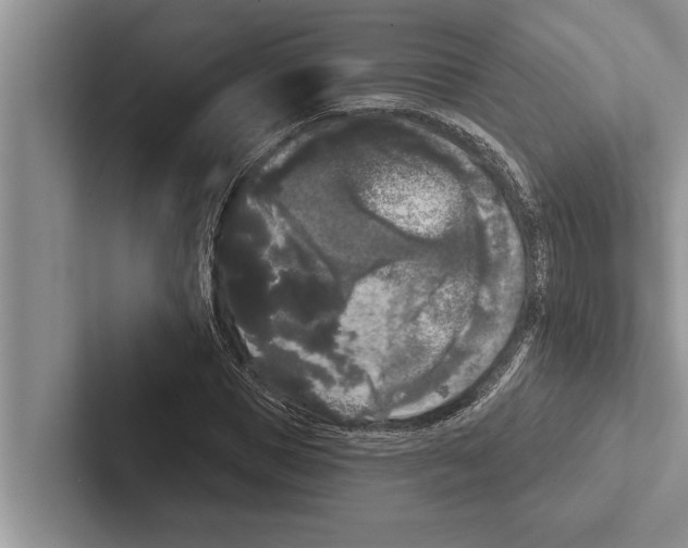 X0000102530921200809051506