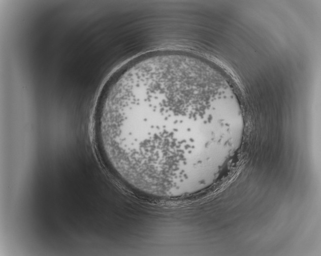 X0000102530928200809051506