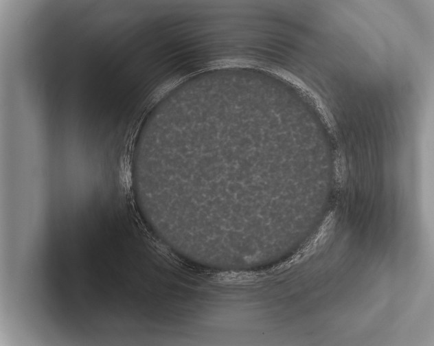 X0000102530929200809051506