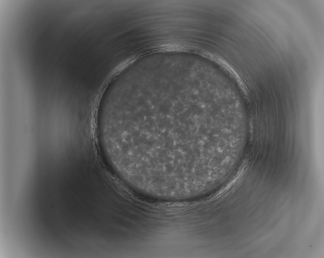 X0000102530930200809051506