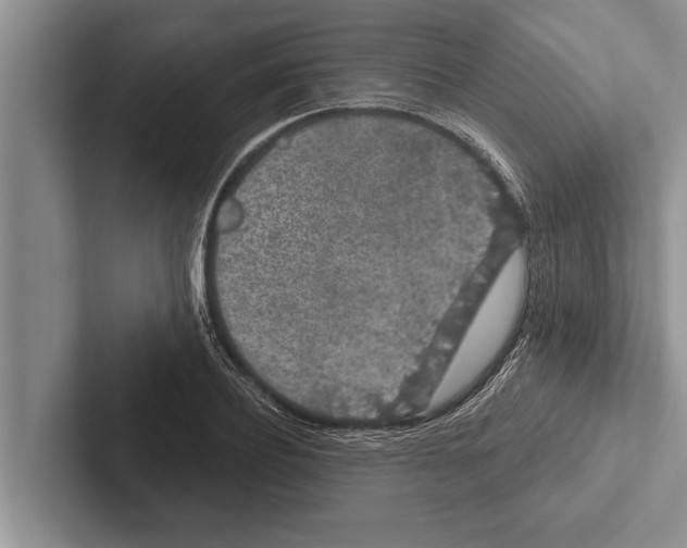 X0000102530932200809051506