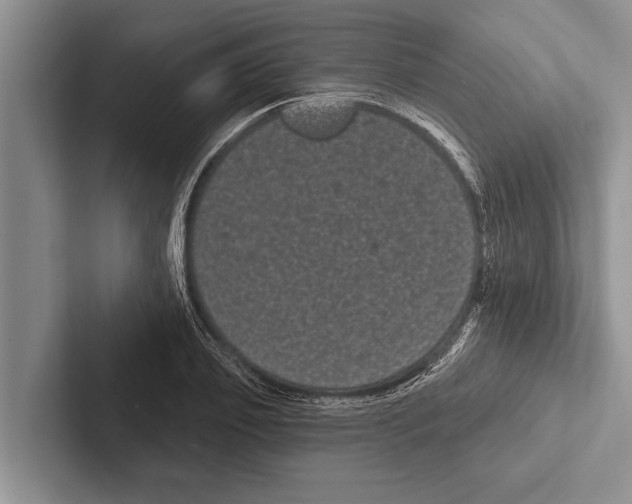 X0000102530933200809051506