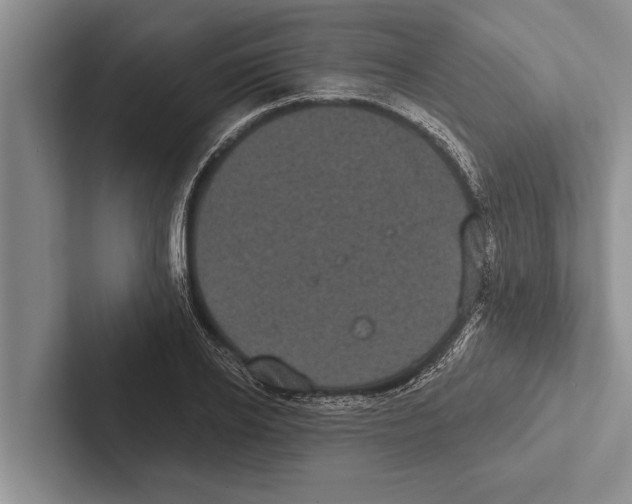 X0000102530934200809051506