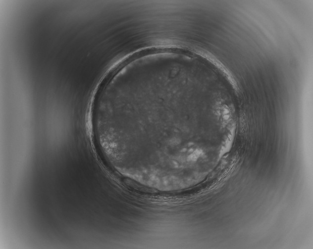 X0000102530935200809051506