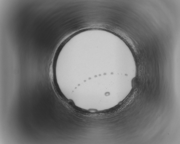 X0000102530936200809051506