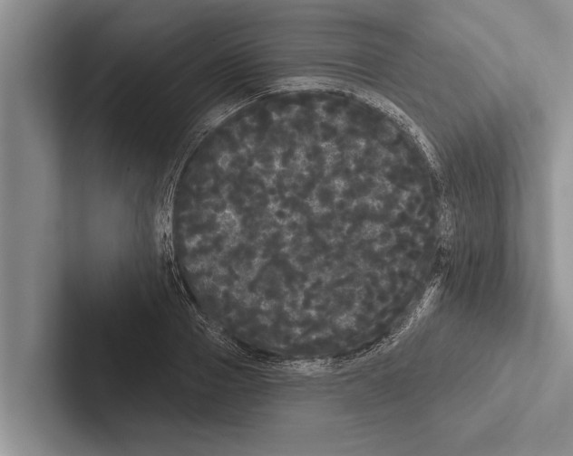 X0000102530937200809051506