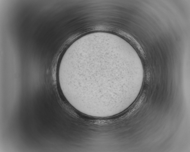 X0000102530938200809051506