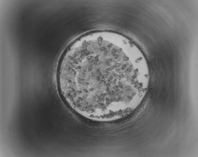 X0000102530943200809051506