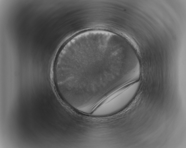 X0000102530944200809051506