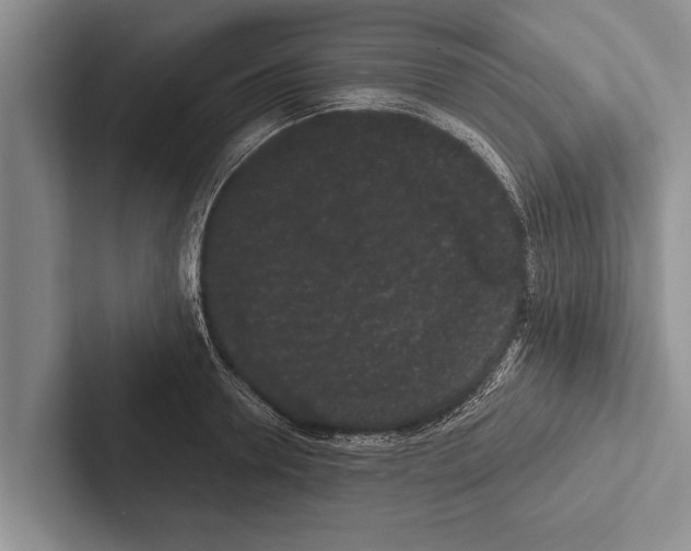 X0000102530946200809051506