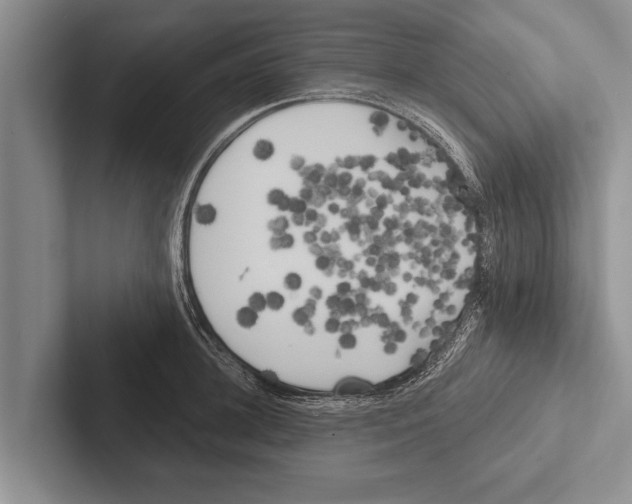 X0000102530948200809051506