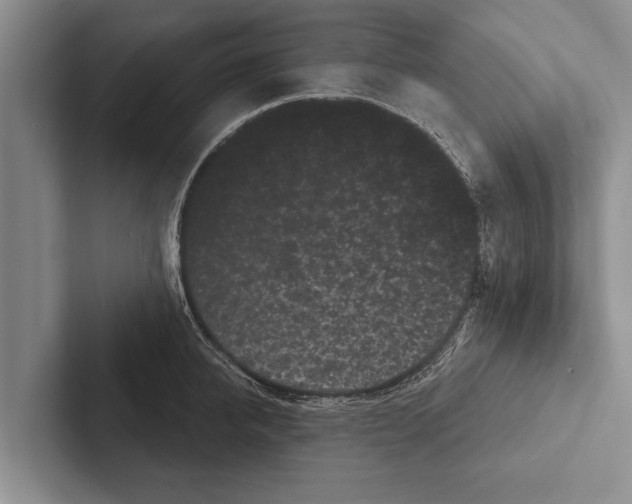 X0000102530950200809051506