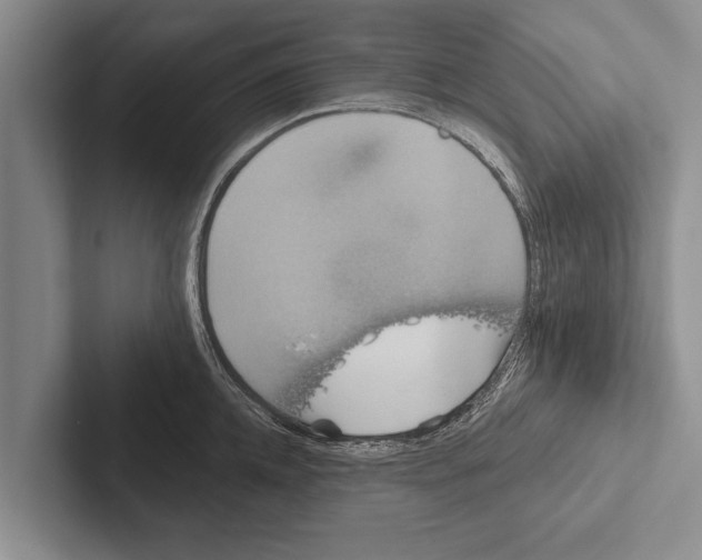 X0000102530952200809051506