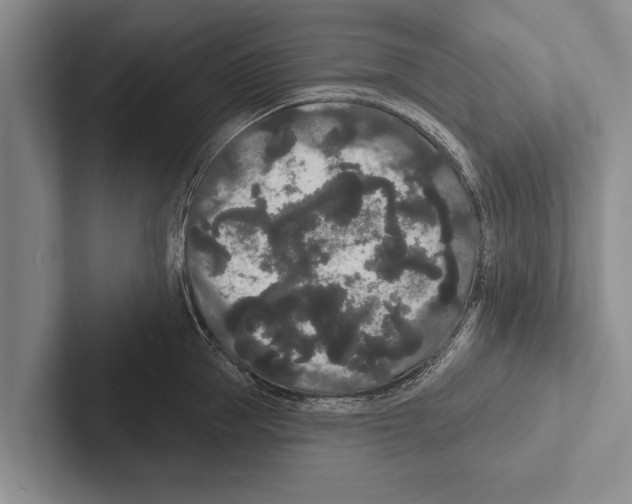 X0000102530953200809051506