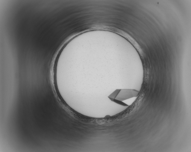 X0000102530955200809051506