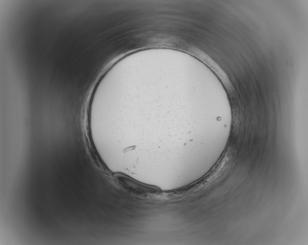 X0000102530956200809051506