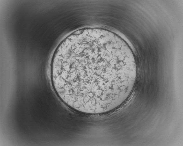 X0000102530959200809051506