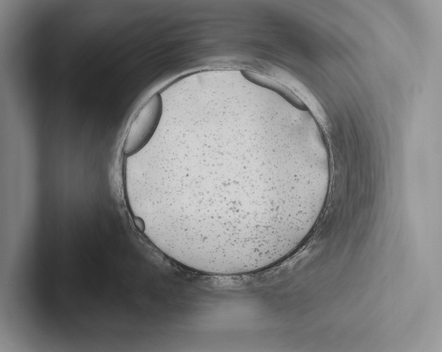 X0000102530960200809051506