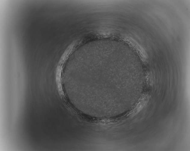 X0000102530961200809051506