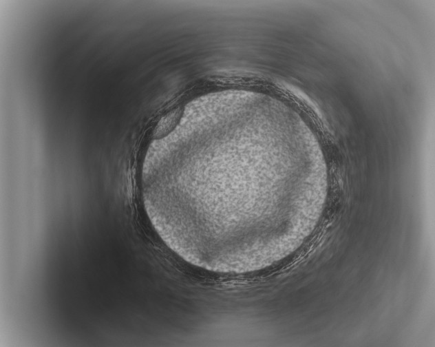 X0000102530965200809051506