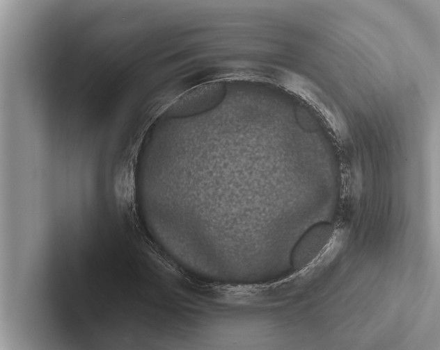 X0000102530969200809051506