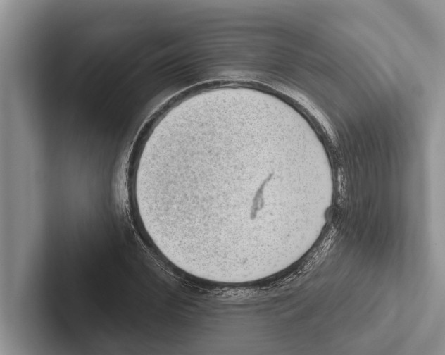 X0000102530972200809051506