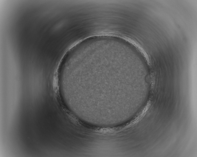 X0000102530974200809051506