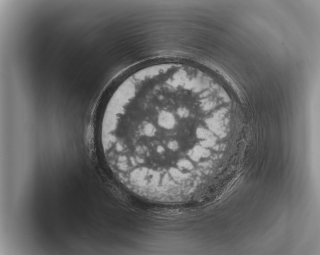 X0000102530975200809051506