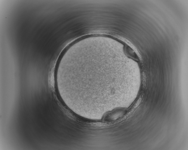 X0000102530980200809051505