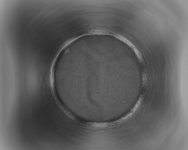 X0000102530981200809051505
