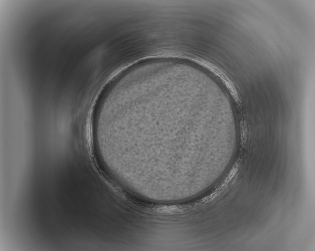 X0000102530982200809051505