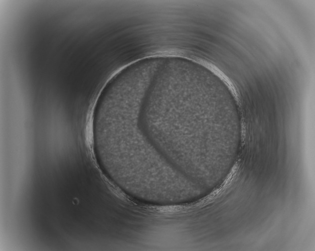 X0000102530988200809051505