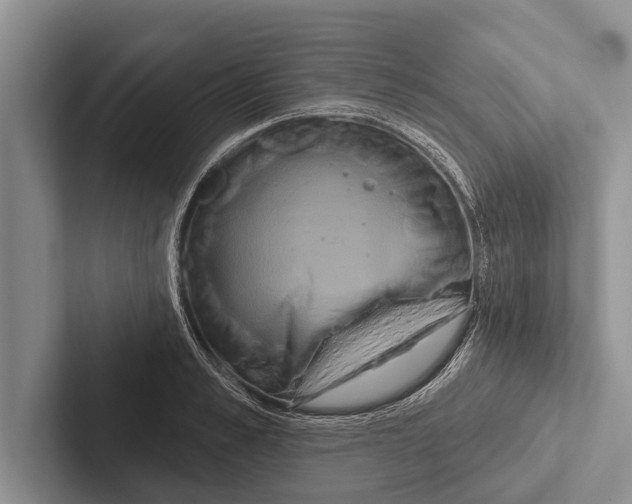 X0000102530989200809051505