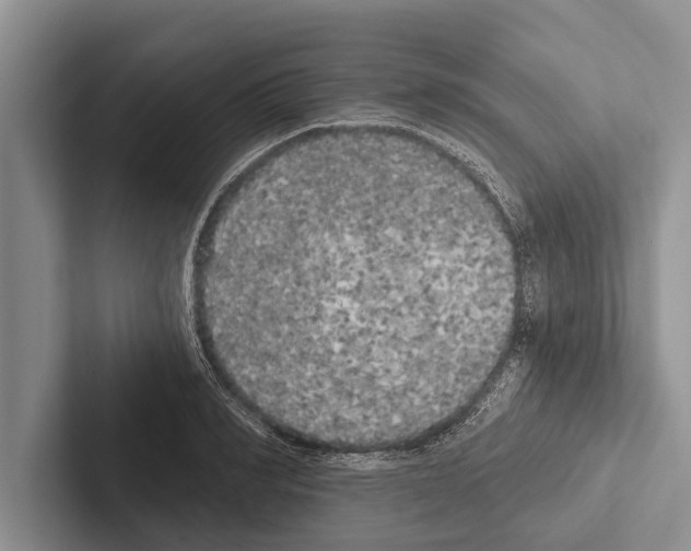X0000102530990200809051505