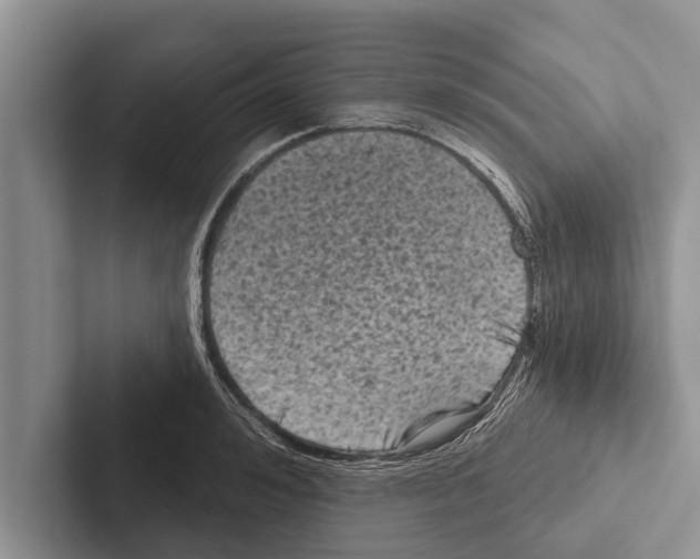 X0000102530992200809051505