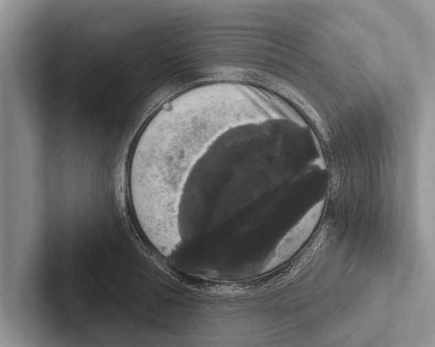 X0000102530994200809051505