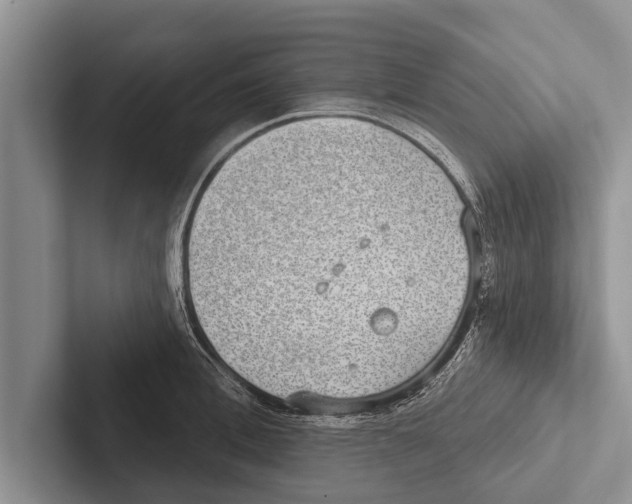 X0000102530996200809051505