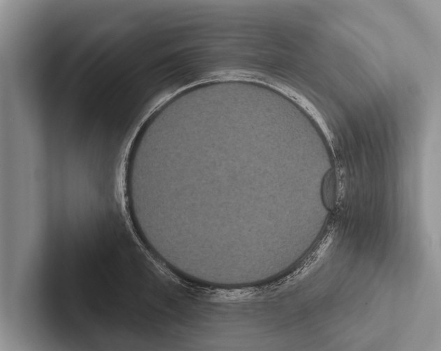 X0000102530997200809051505