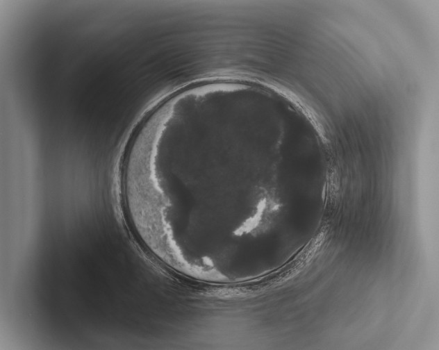 X0000102530998200809051505