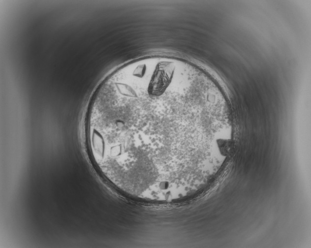 X0000102530999200809051505