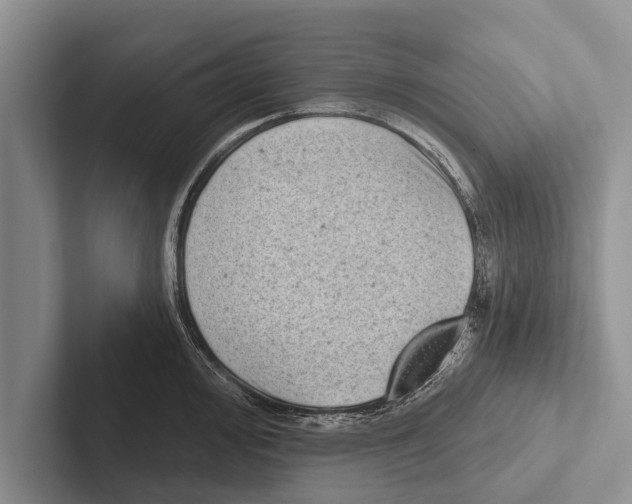X0000102531000200809051505