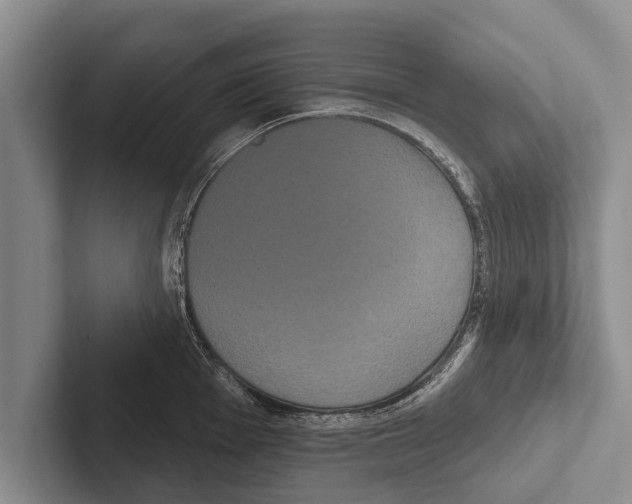 X0000102531001200809051505