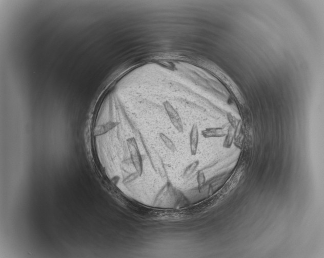 X0000102531002200809051505
