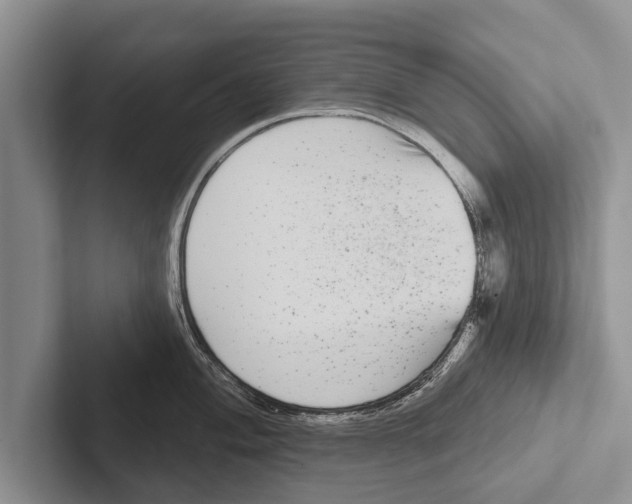 X0000102531004200809051505