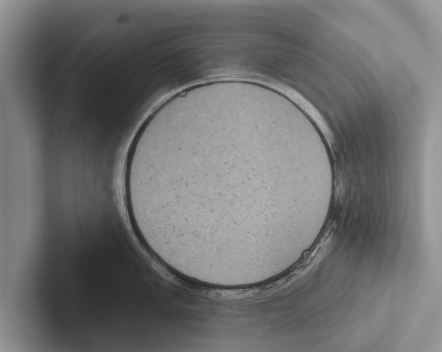 X0000102531005200809051505