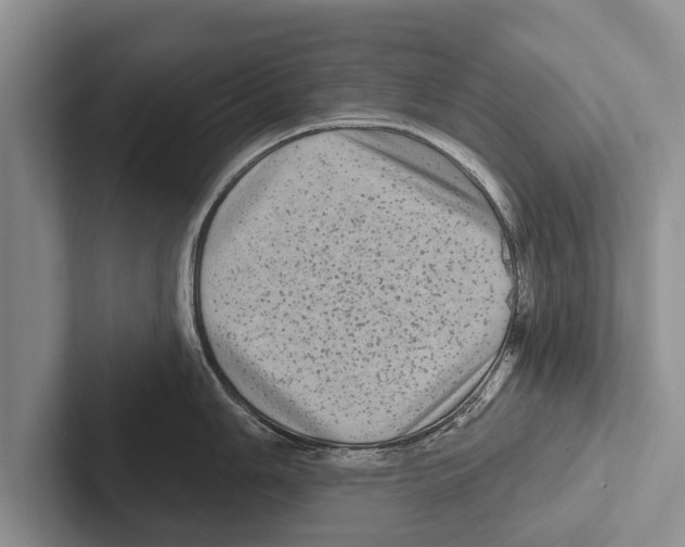 X0000102531006200809051505