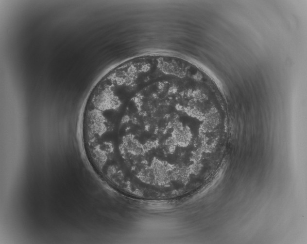 X0000102531007200809051505