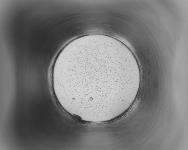 X0000102531008200809051505